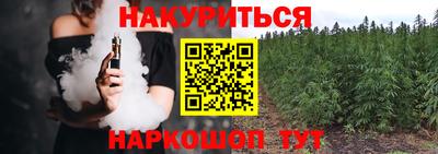 молекула духа Вышний Волочёк