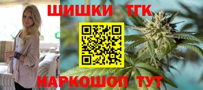молекула духа Вышний Волочёк