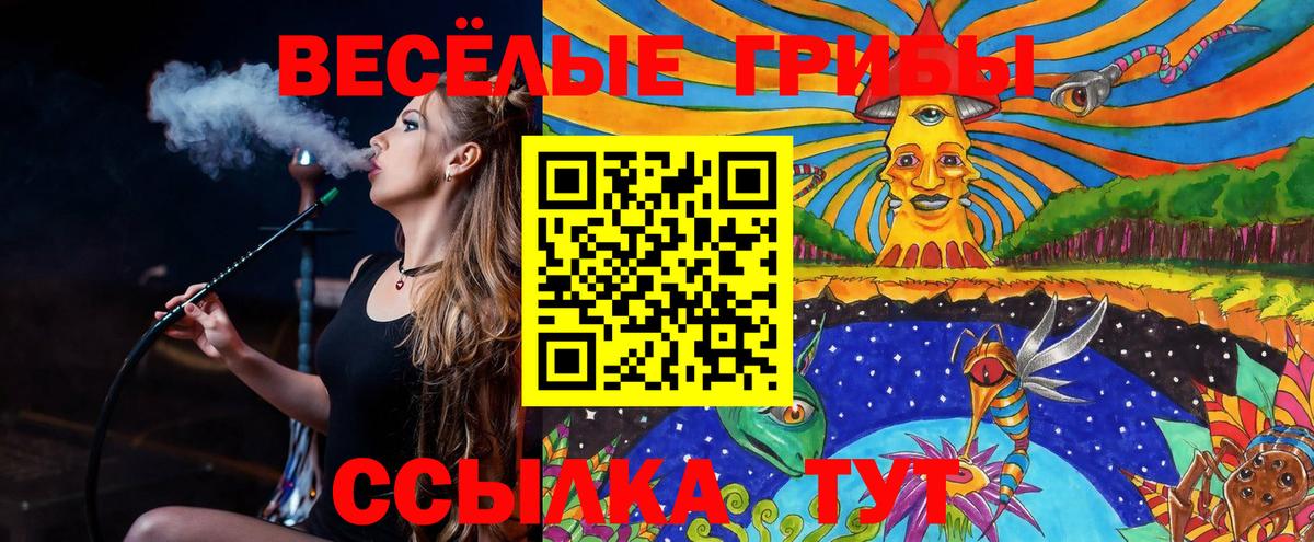 Псилоцибиновые грибы MAGIC MUSHROOMS  где купить наркоту  Белая Калитва  Вход с VPN 