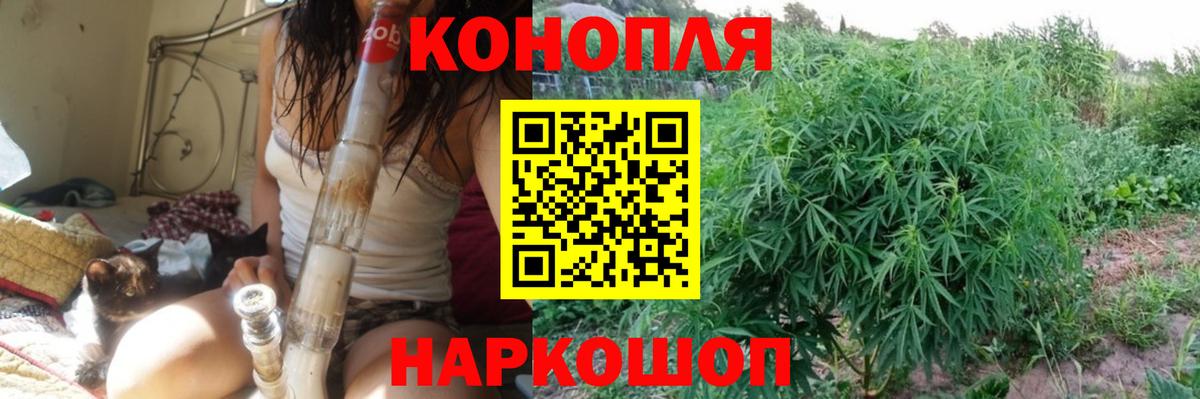 Бошки марихуана Amnesia Белая Калитва